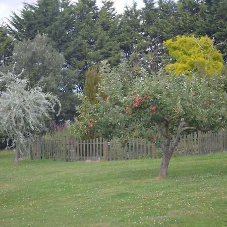 The Willow Studio - Peaceful Retreat Near Whitstable Seaside 페버샴 외부 사진