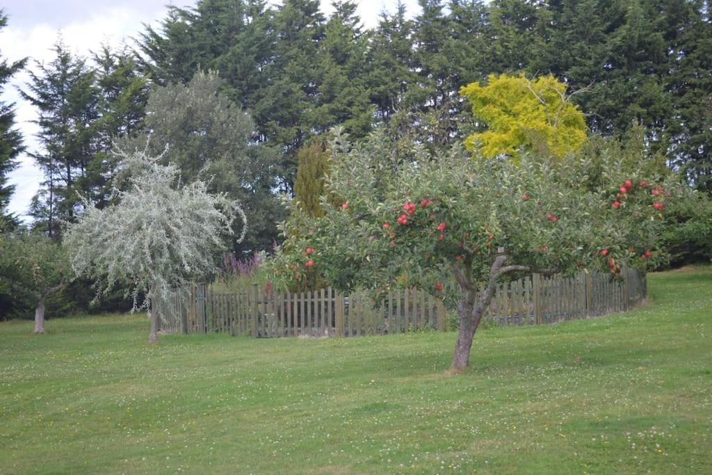 The Willow Studio - Peaceful Retreat Near Whitstable Seaside 페버샴 외부 사진